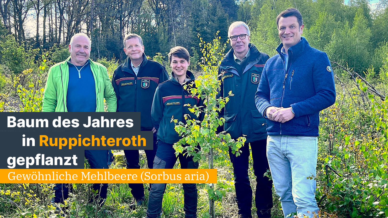 „Baum des Jahres 2024“ in Ruppichteroth gepflanzt Björn Franken